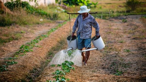 How Israeli Tech Protects World’s Scarcest, Essential Resource: Water