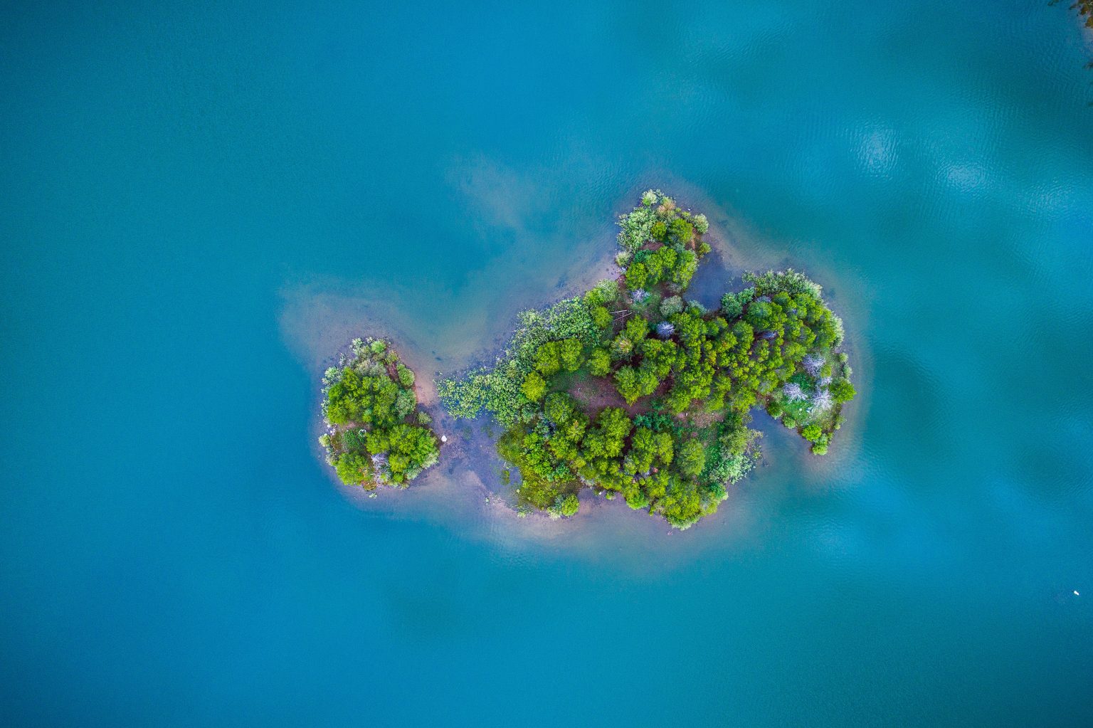 Photo by Nathan Anderson on Unsplash