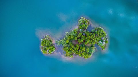 Photo by Nathan Anderson on Unsplash