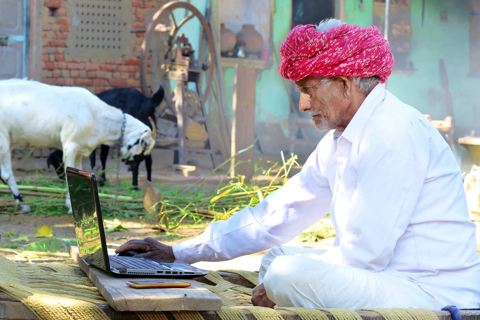 Netizens from smaller cities to drive e-commerce growth in India: Report