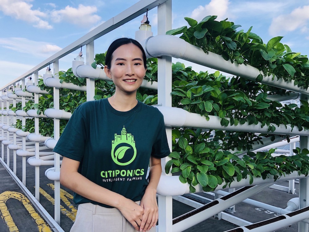 Farm to fork: This millennial urban farmer grows vegetables on carpark rooftops in Singapore