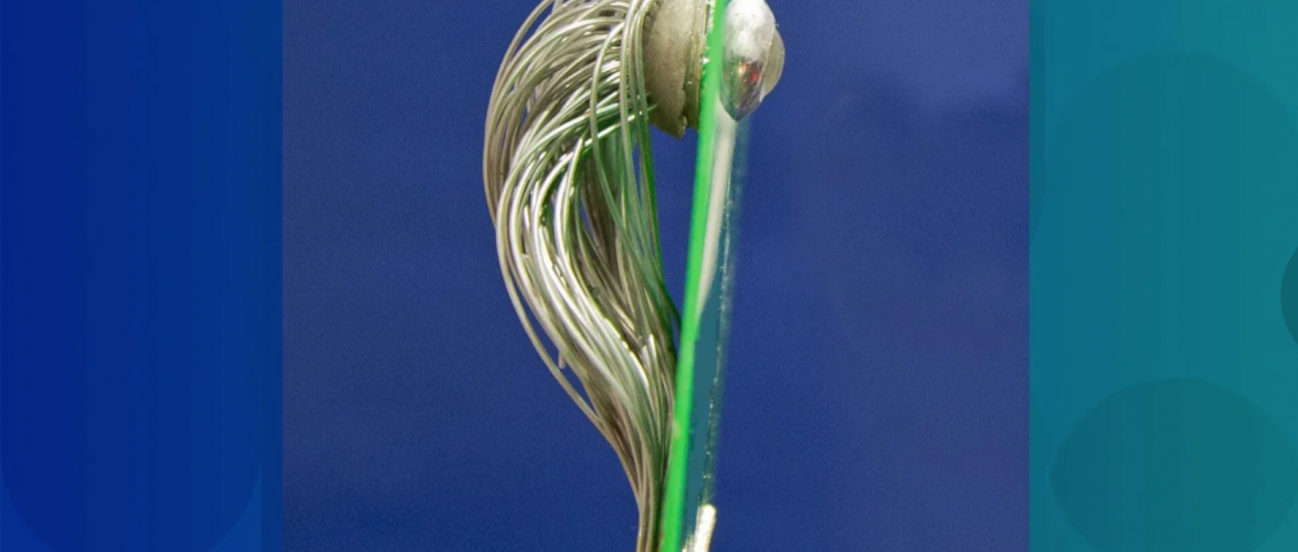 A breakthrough bionic eye might one day give us night vision