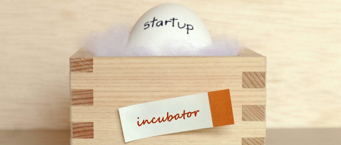 ‘We want to make Southeast Asia accessible to our startups’: Q&A with Tanul Mishra of Afthonia Lab