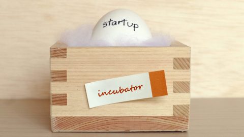 ‘We want to make Southeast Asia accessible to our startups’: Q&A with Tanul Mishra of Afthonia Lab