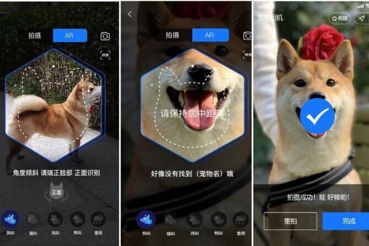 Alipay allows pet owners to buy insurance by using facial recognition on their cats and dogs