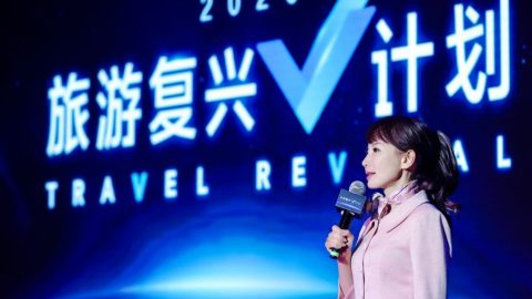 How to be a survivor: 5 Strategies from Chinese travel tech giants