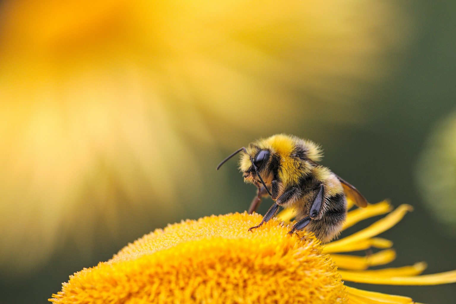 Photo by Dmitry Grigoriev on Unsplash.