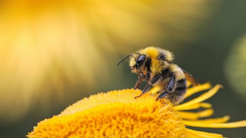 Photo by Dmitry Grigoriev on Unsplash.