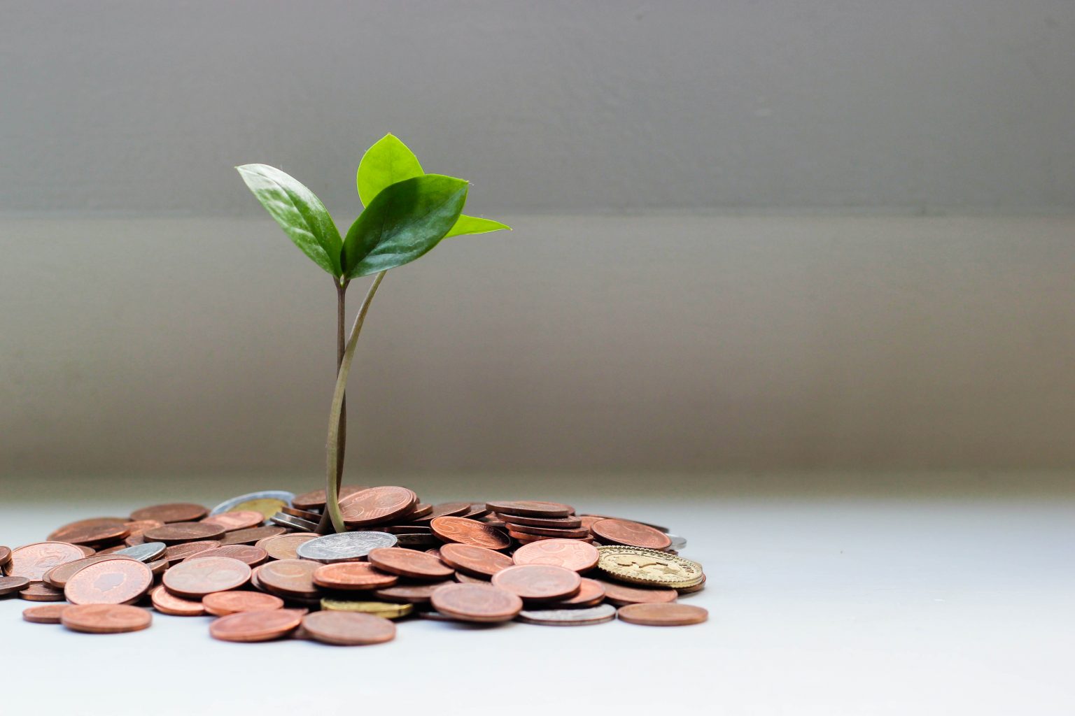 Money, growth