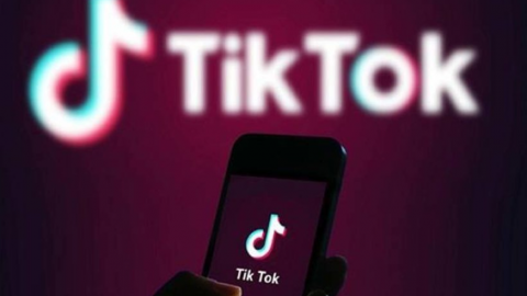 TikTok and others mull over taking Indian government to court over the ban on Chinese apps