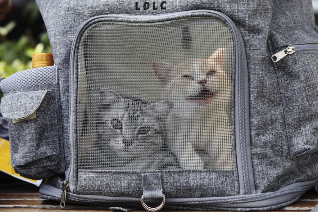 via SCMP