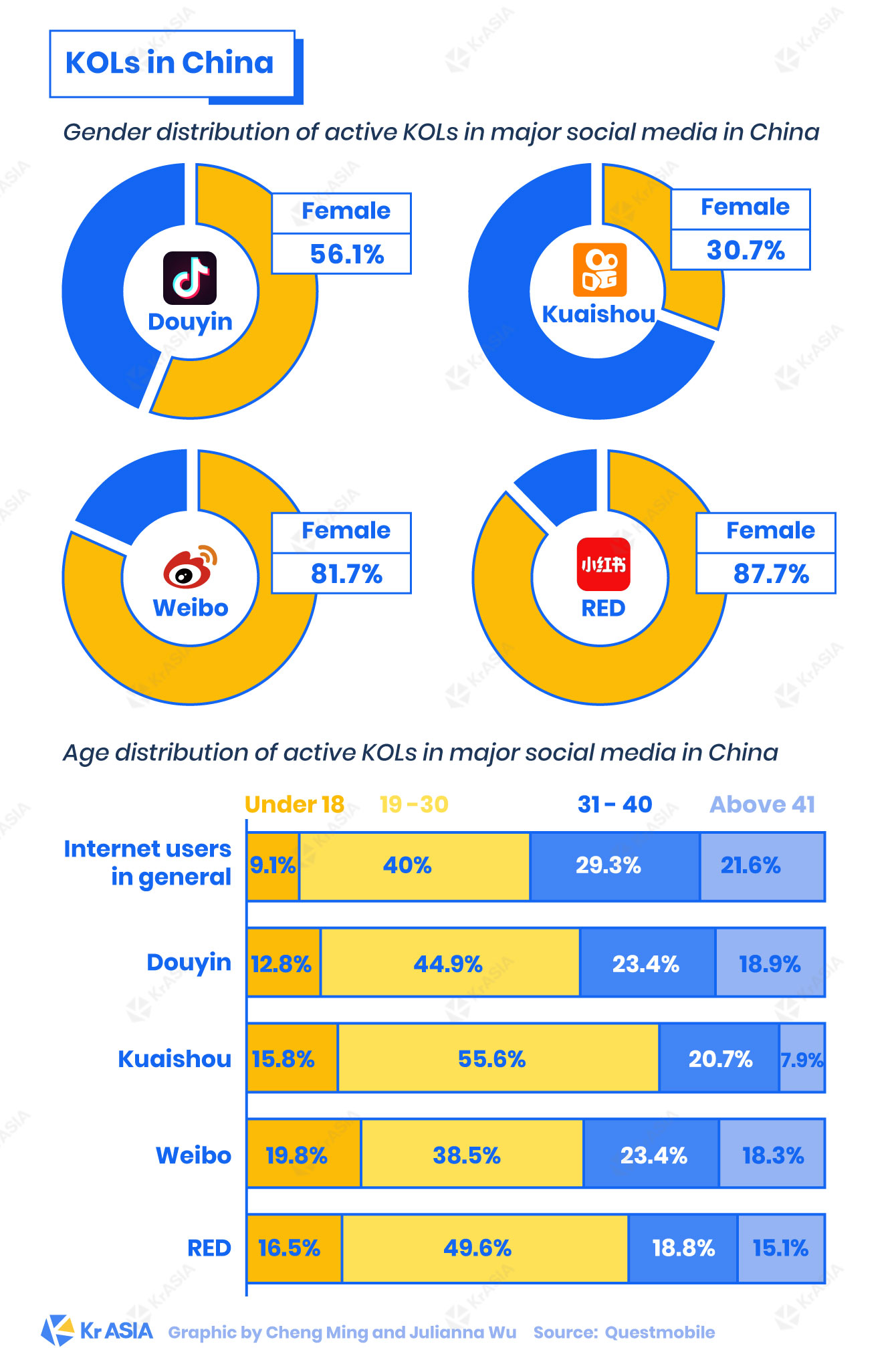 Demographic features of the social media KOL in China