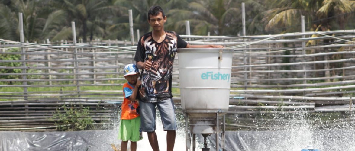 Fish farmer using eFishery product. Photo courtesy of eFishery.
