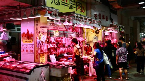 To fight climate change, Asia’s staple protein needs an alternative: Inside China’s Startups