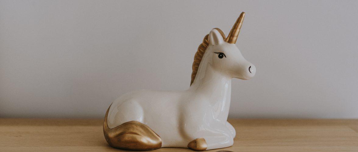 Annie Spratt for Unsplash