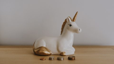 Annie Spratt for Unsplash