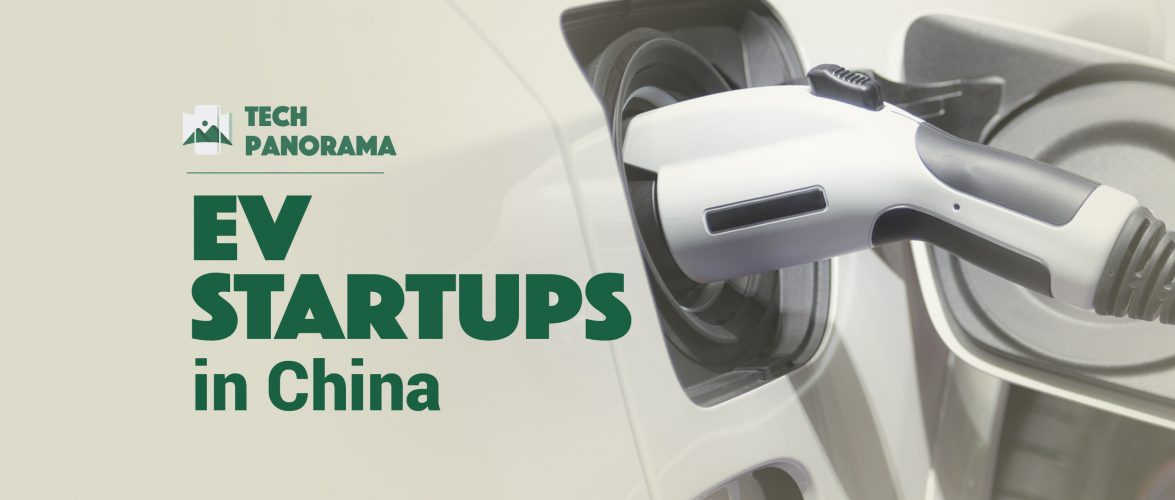 TECH PANO | Capital-fueled “Teslas” of China are yet to own the roads