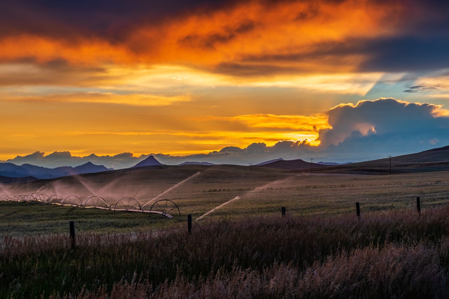 Photo by Michael Bourgault on Unsplash.