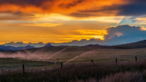 Photo by Michael Bourgault on Unsplash.