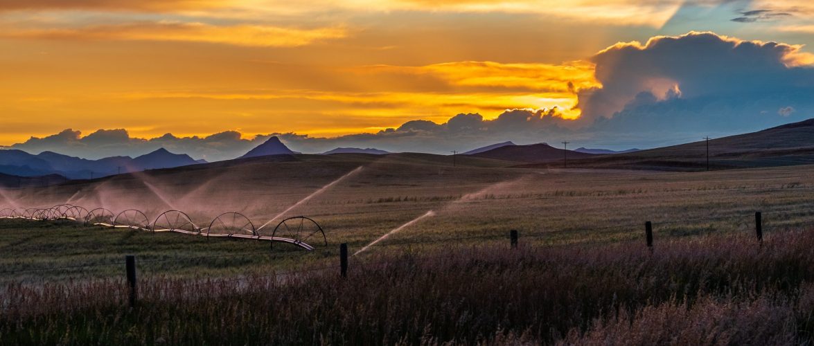 Photo by Michael Bourgault on Unsplash.