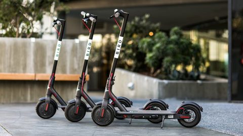 Tel Avivians clock over 5 million rides in 2 years with Bird e-scooters