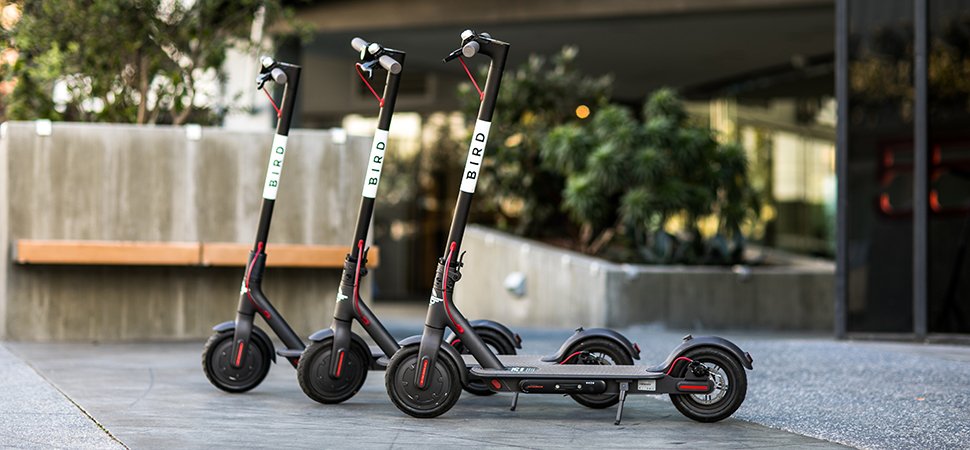 Tel Avivians clock over 5 million rides in 2 years with Bird e-scooters