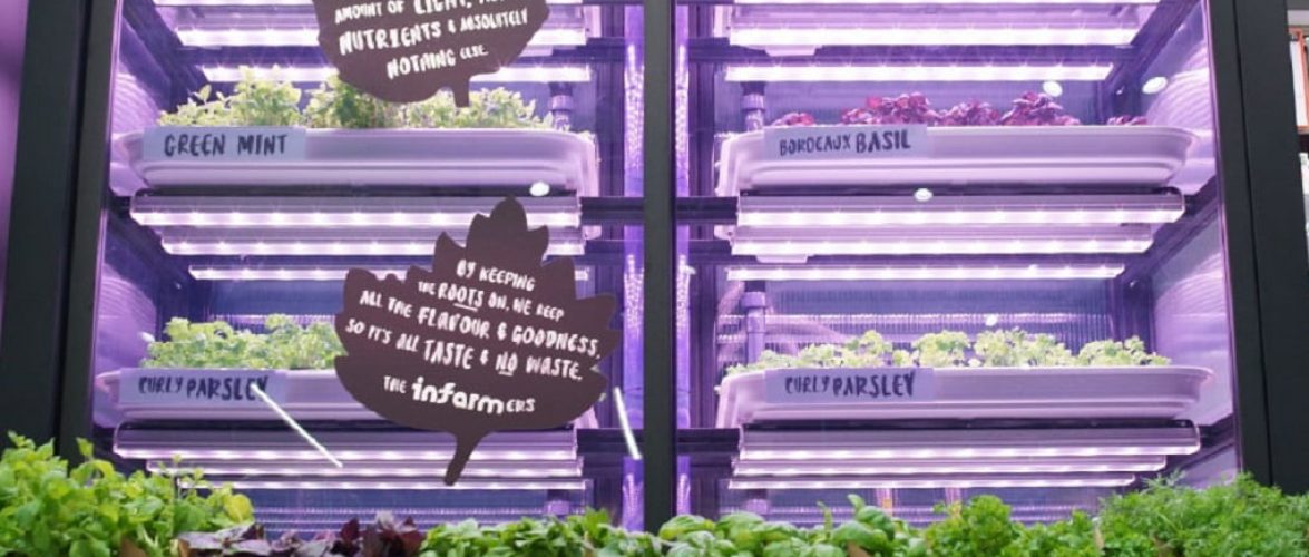 Infarm's urban farming system at M&S. Photo by Samuel Cane. Courtesy of Marks & Spencer via NoCamels.