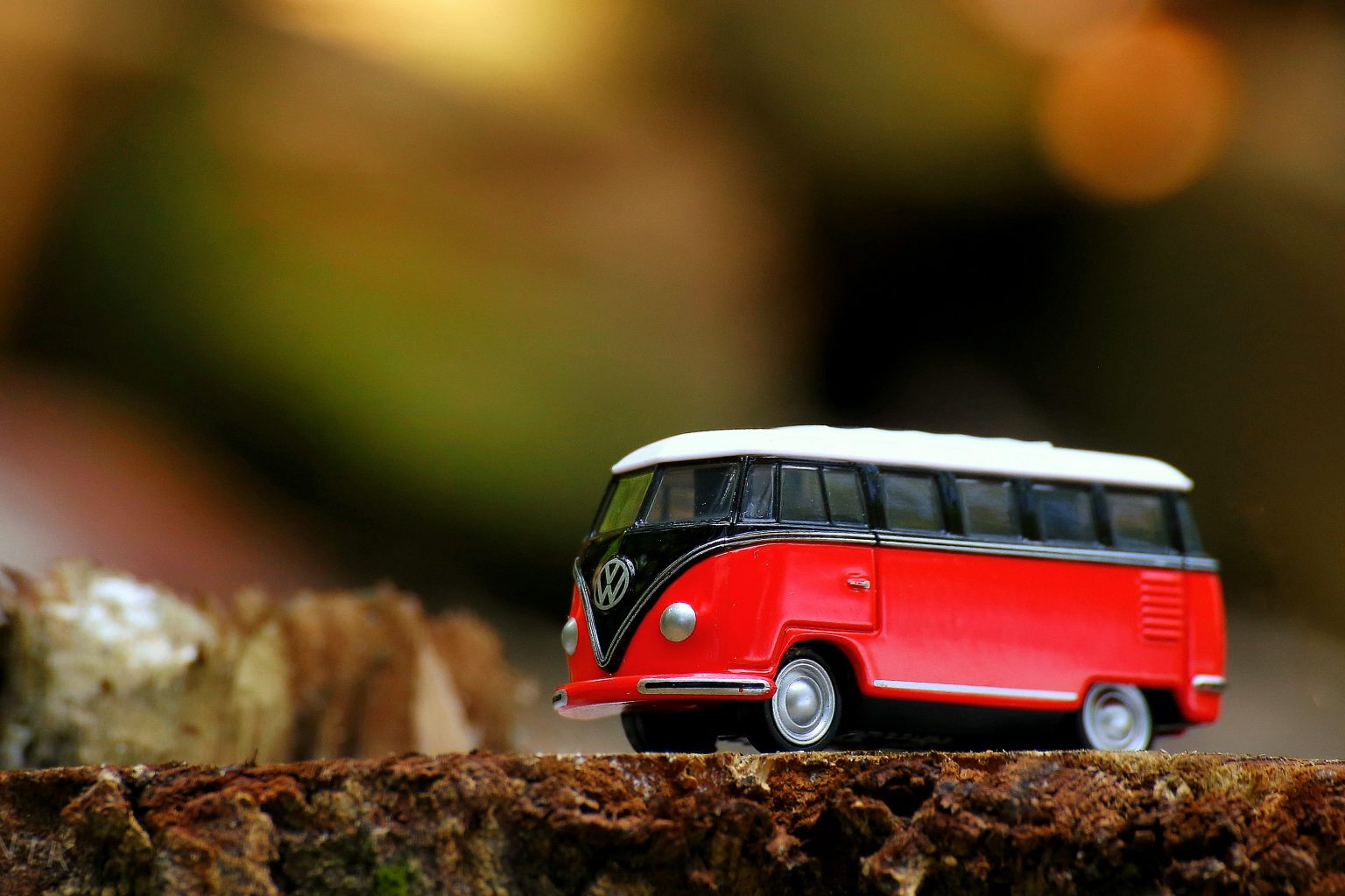 Bus