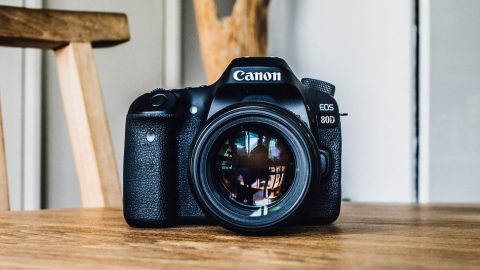 Photo by Hanson Lu on Unsplash


Create your website today
