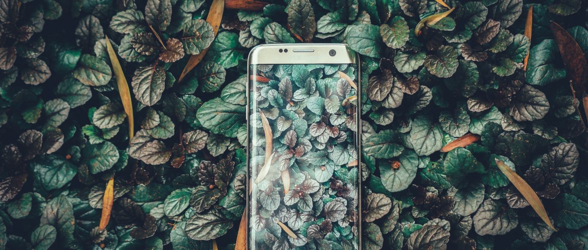 Ravi Kumar on Unsplash