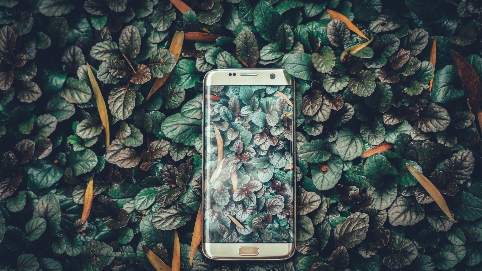 Ravi Kumar on Unsplash