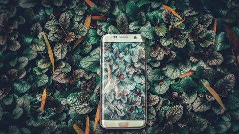 Ravi Kumar on Unsplash