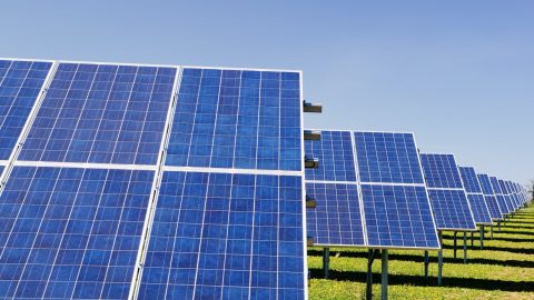 Will clean energy startups help Indonesia hit its target for renewable energy?