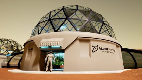 A rendering of Aleph Farms' BioFarm. Courtesy of Aleph Farms via NoCamels.