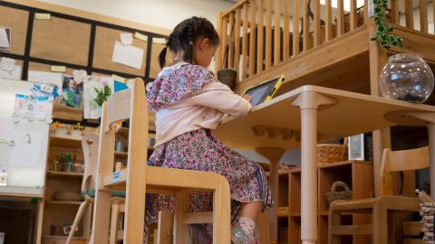Online education startups Yuanfudao and Zuoyebang raise billions
