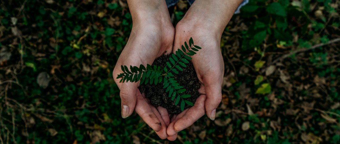 Indian consumer tech startups search for a sustainable revenue model