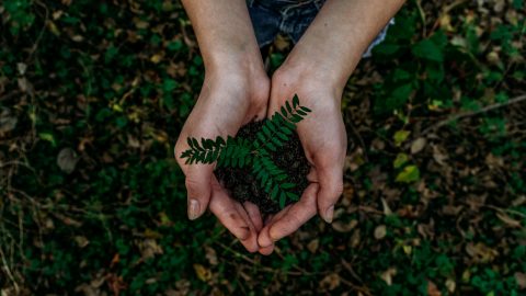 Indian consumer tech startups search for a sustainable revenue model