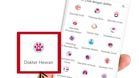 Halodoc's new online vet consultation service. Picture courtesy of Halodoc.