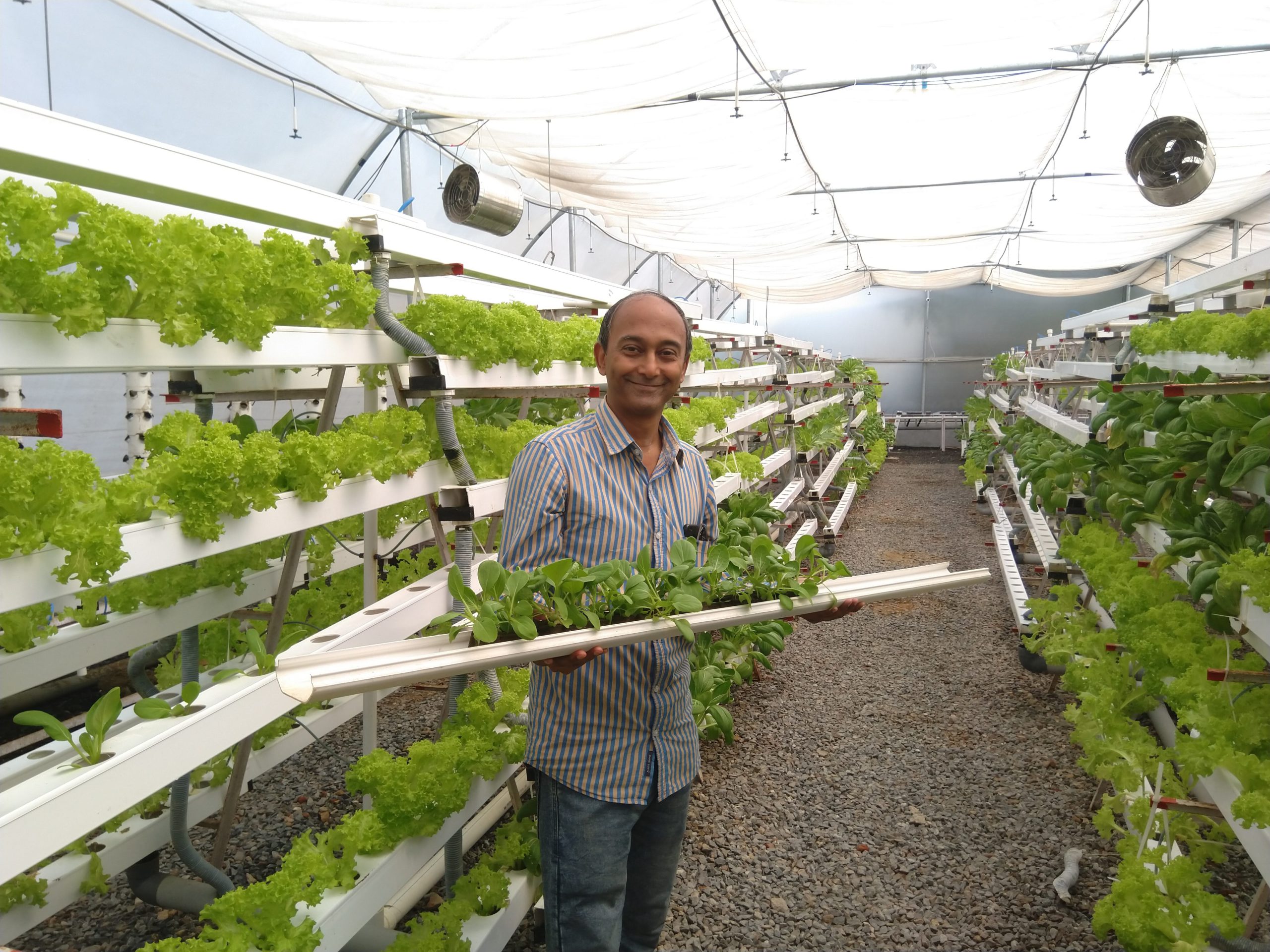 Agritech, hydroponics, Barton Breeze