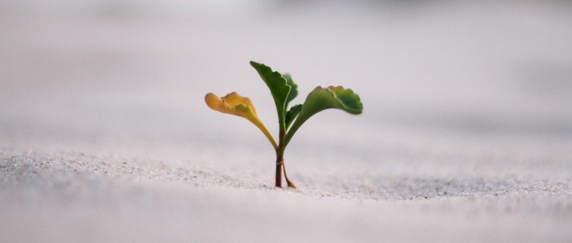 Jeremy Bishop on Unsplash
