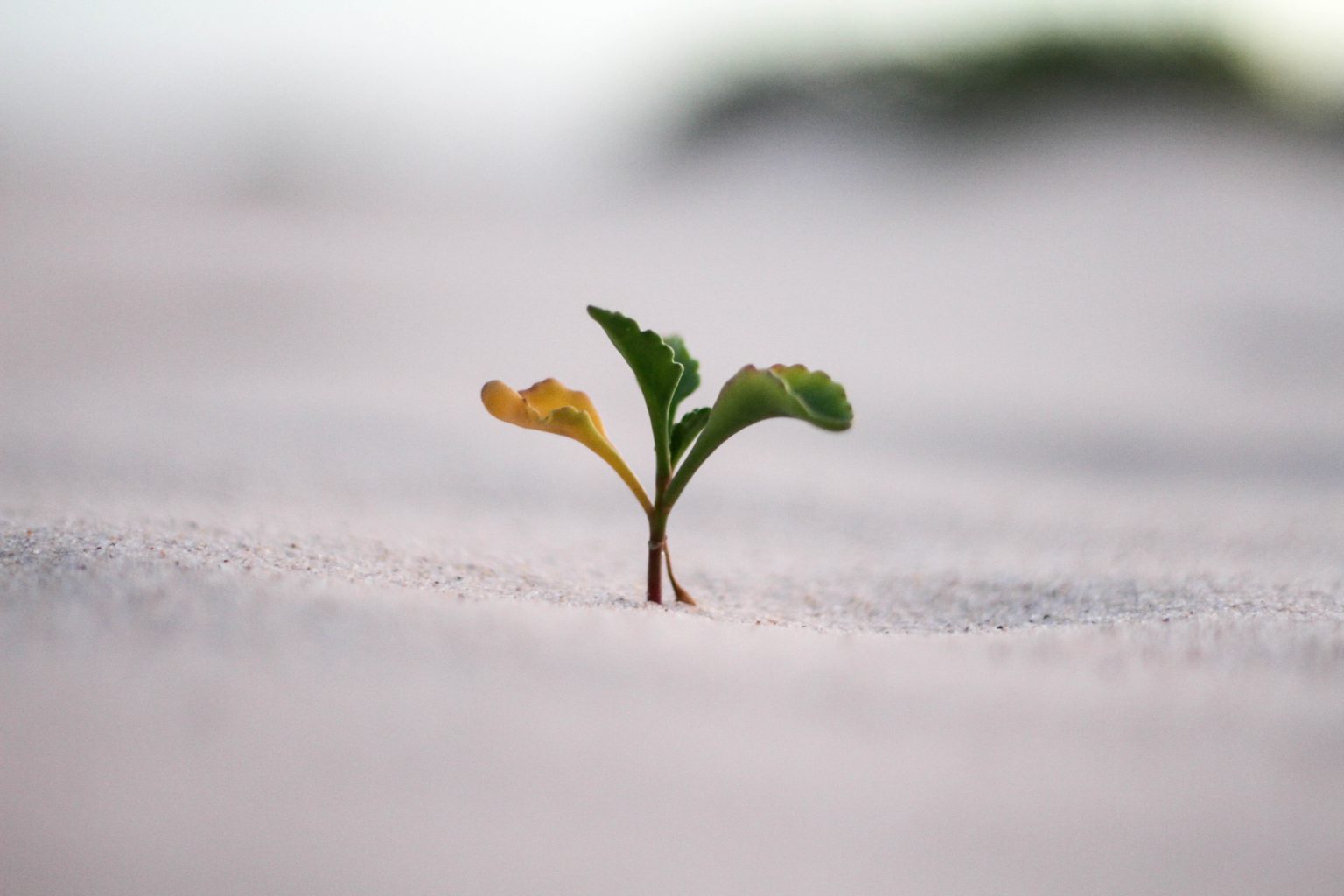 Jeremy Bishop on Unsplash
