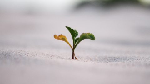 Jeremy Bishop on Unsplash
