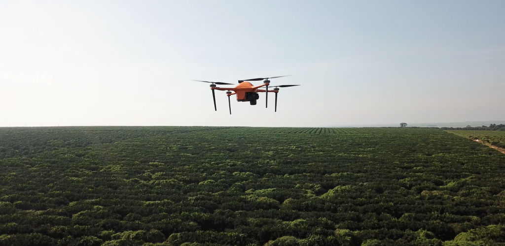 A drone flies over a field. Courtesy of SeeTree via NoCamels.