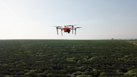 A drone flies over a field. Courtesy of SeeTree via NoCamels.