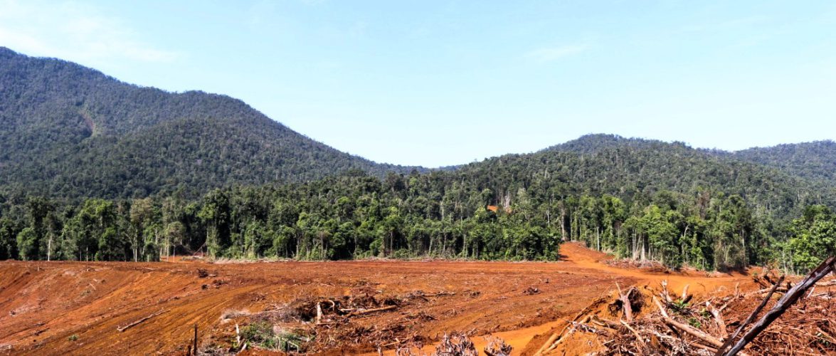 Mining site on the upstream of Lake Tiu.   Photo courtesy of Muh Taufik/Jatam.