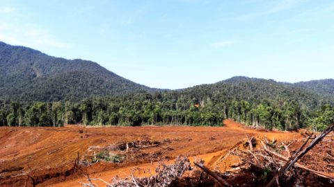 Mining site on the upstream of Lake Tiu.   Photo courtesy of Muh Taufik/Jatam.