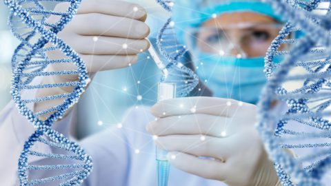 Doctor conducts the test and the study of DNA molecules . Photo: Tuchong