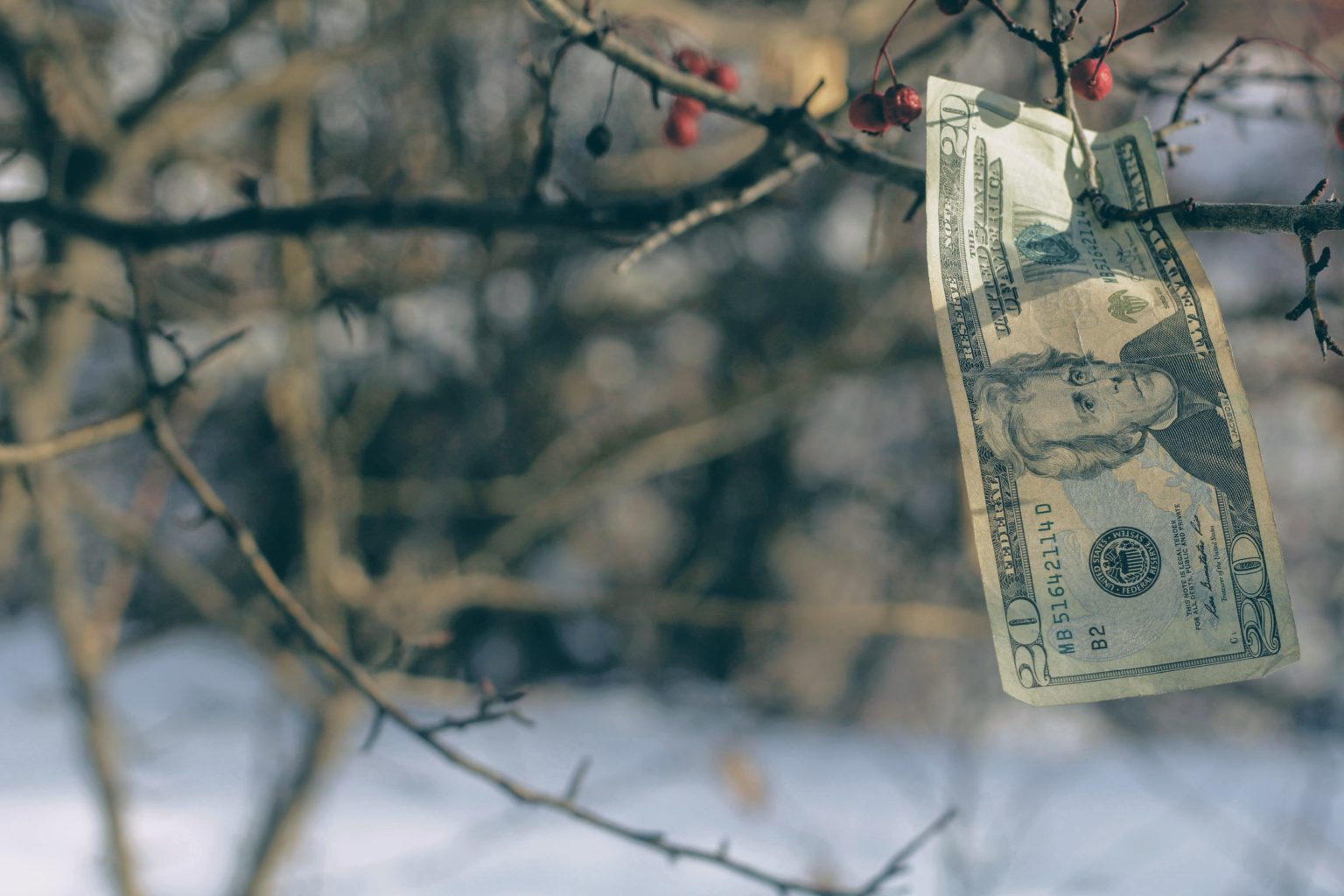 Photo by Joshua Hoehne on Unsplash