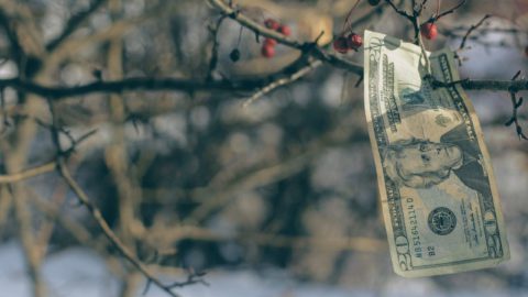 Photo by Joshua Hoehne on Unsplash