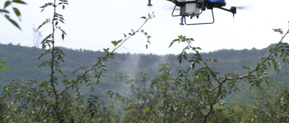 Chinese agricultural drone maker EAVision bags funding from Temasek, CITIC